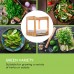blumfeldt	 Urban Bamboo Hydroponic Garden
