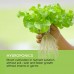 blumfeldt	 Urban Bamboo Hydroponic Garden