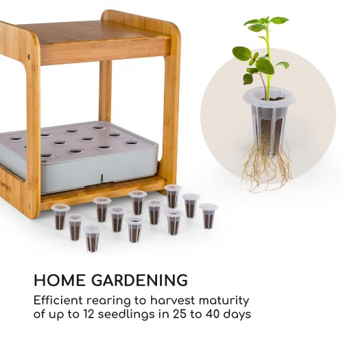 blumfeldt	 Urban Bamboo Hydroponic Garden