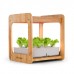 blumfeldt	 Urban Bamboo Hydroponic Garden